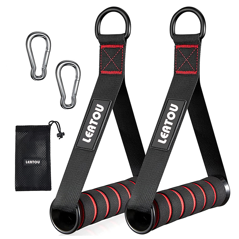 Heavy Duty D-Ring Metal Gym Ha - đánh giá và giá Yoga Fitness Power Yoga