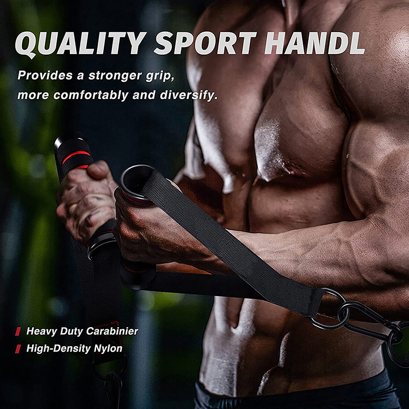 (SMTGDP11)D-Ring Metal Gym Han - đánh giá và giá Yoga Fitness Power Yoga